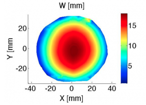 Biomechanics of the Skin