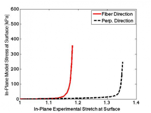 Biomechanics of the Skin