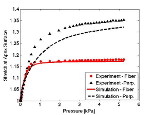 Biomechanics of the Skin