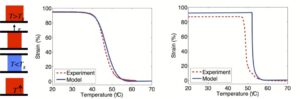 Shape Memory Polymers